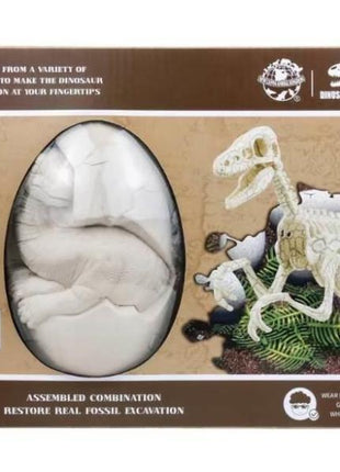 DIY Drachen-Fossil-Ei Ausgrabungsset in brauner Box mit Ei-Container und abgebildetem Dino-Skelett, ab 3 Jahren