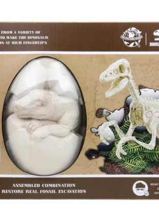 Dinosaurier-Ausgrabungsset im Fossil-Ei, DIY Dino-Skelett zum Freilegen und Zusammenbauen